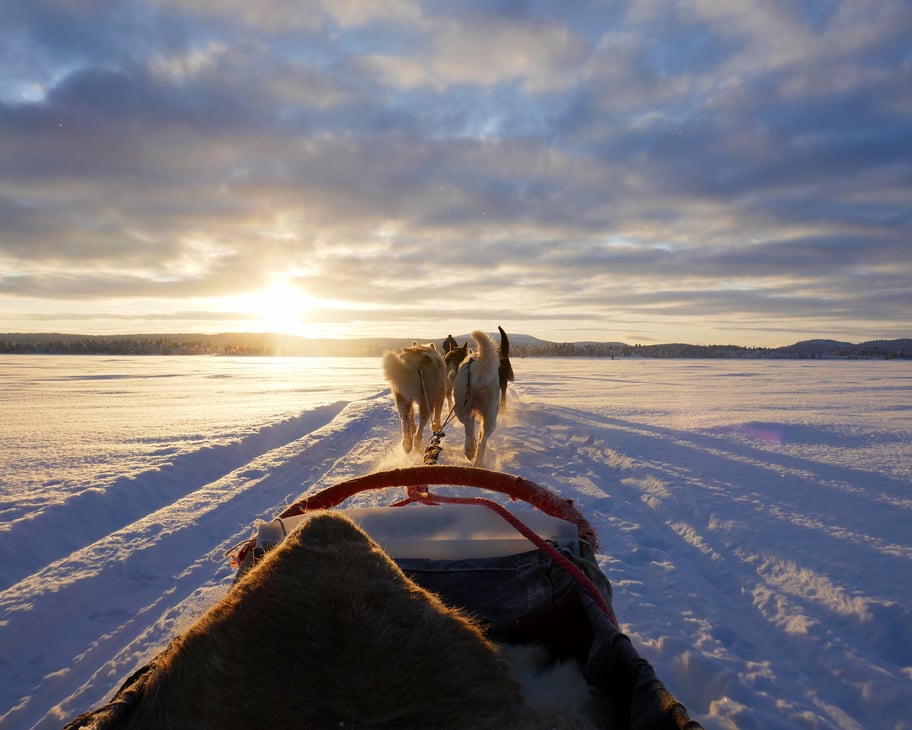 Husky sled